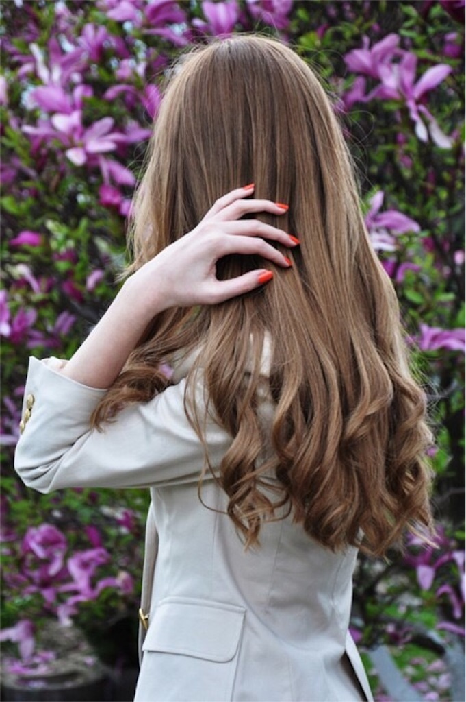 f:id:shino24aus:20190411201503j:image f:id:shino24aus:20190411201503j:image