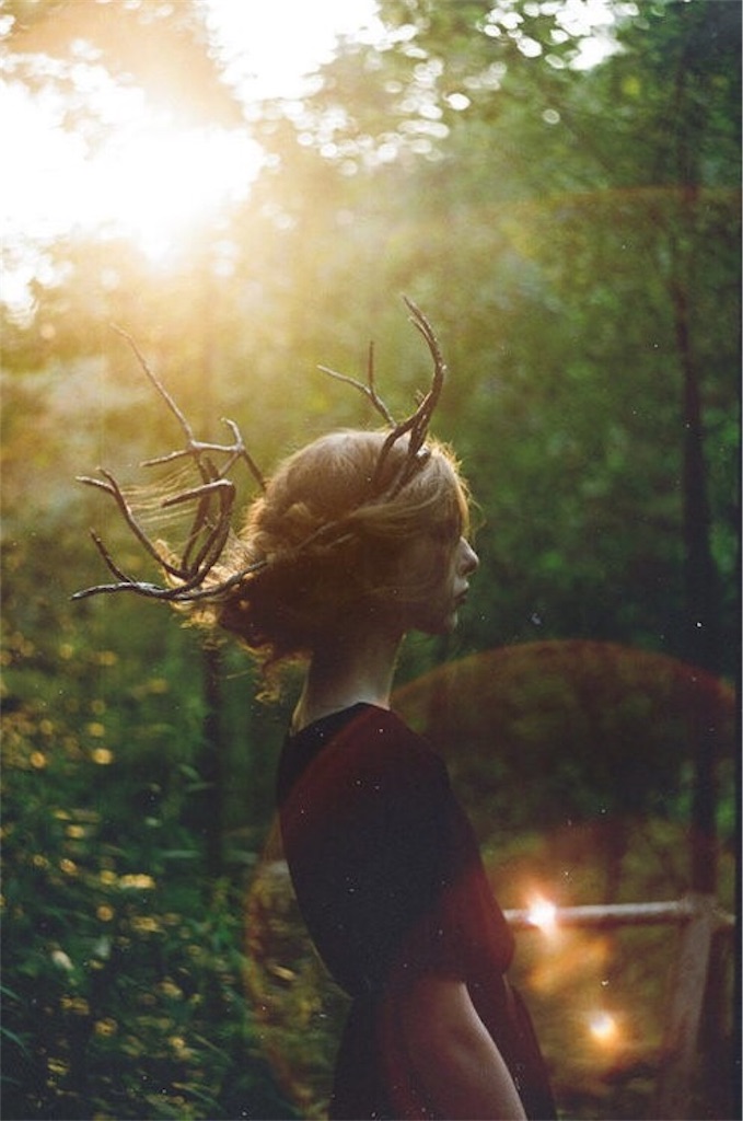 f:id:shino24aus:20190412133339j:image f:id:shino24aus:20190412133339j:image