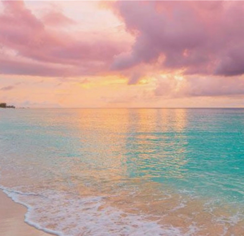 f:id:shino24aus:20190921214024j:image f:id:shino24aus:20190921214024j:image