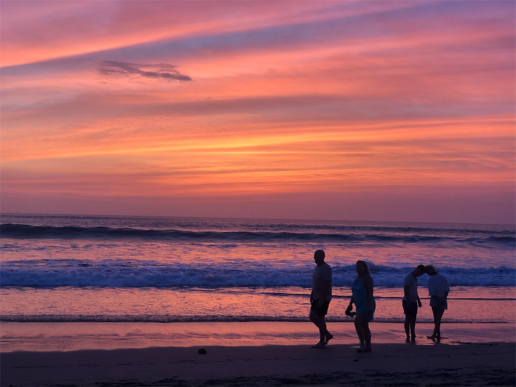 f:id:shino24aus:20191113141106j:image f:id:shino24aus:20191113141106j:image