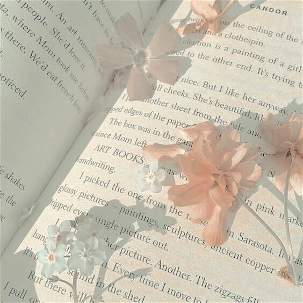 f:id:shino24aus:20191207143344p:image