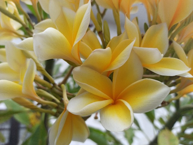 f:id:shino24aus:20200919132822j:image