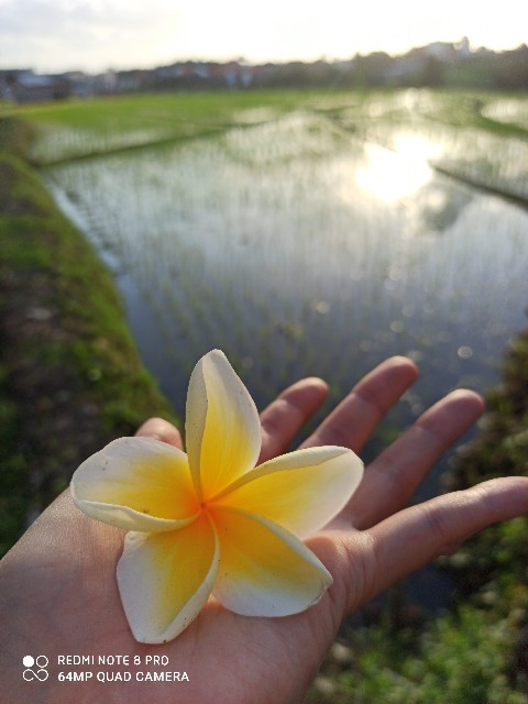 f:id:shino24aus:20200919133407j:image