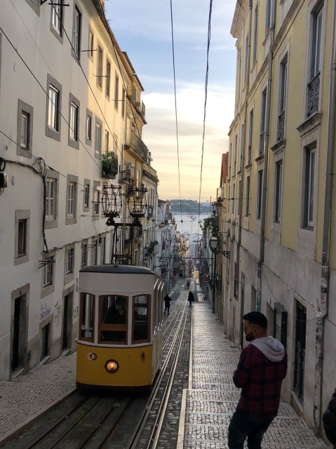 f:id:shino24aus:20210125201744j:image