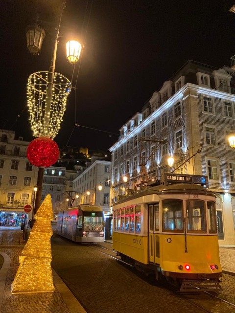 f:id:shino24aus:20210125201912j:image