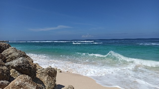 f:id:shino24aus:20210502182004j:image