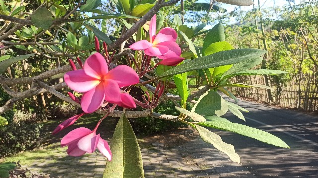 f:id:shino24aus:20210607234956j:image f:id:shino24aus:20210607234956j:image