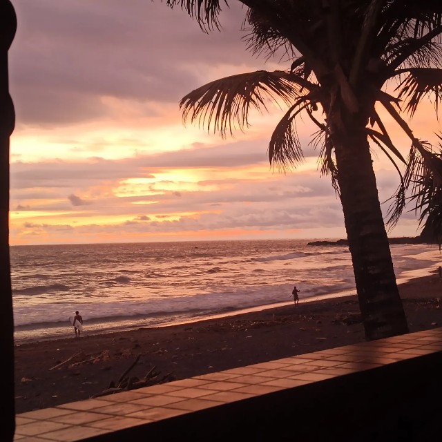 f:id:shino24aus:20220320132349j:image f:id:shino24aus:20220320132349j:image