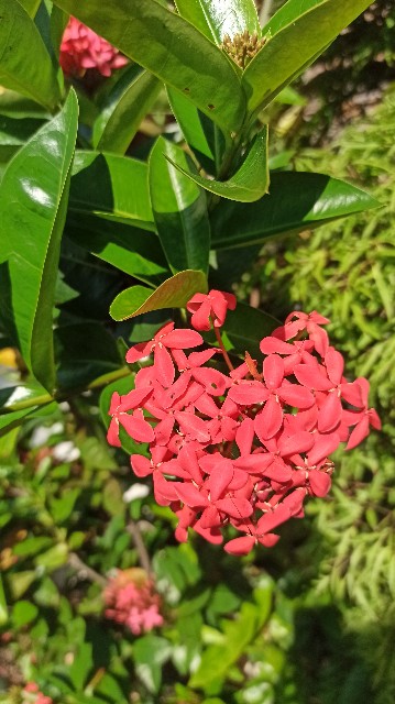 f:id:shino24aus:20220320135408j:image f:id:shino24aus:20220320135408j:image