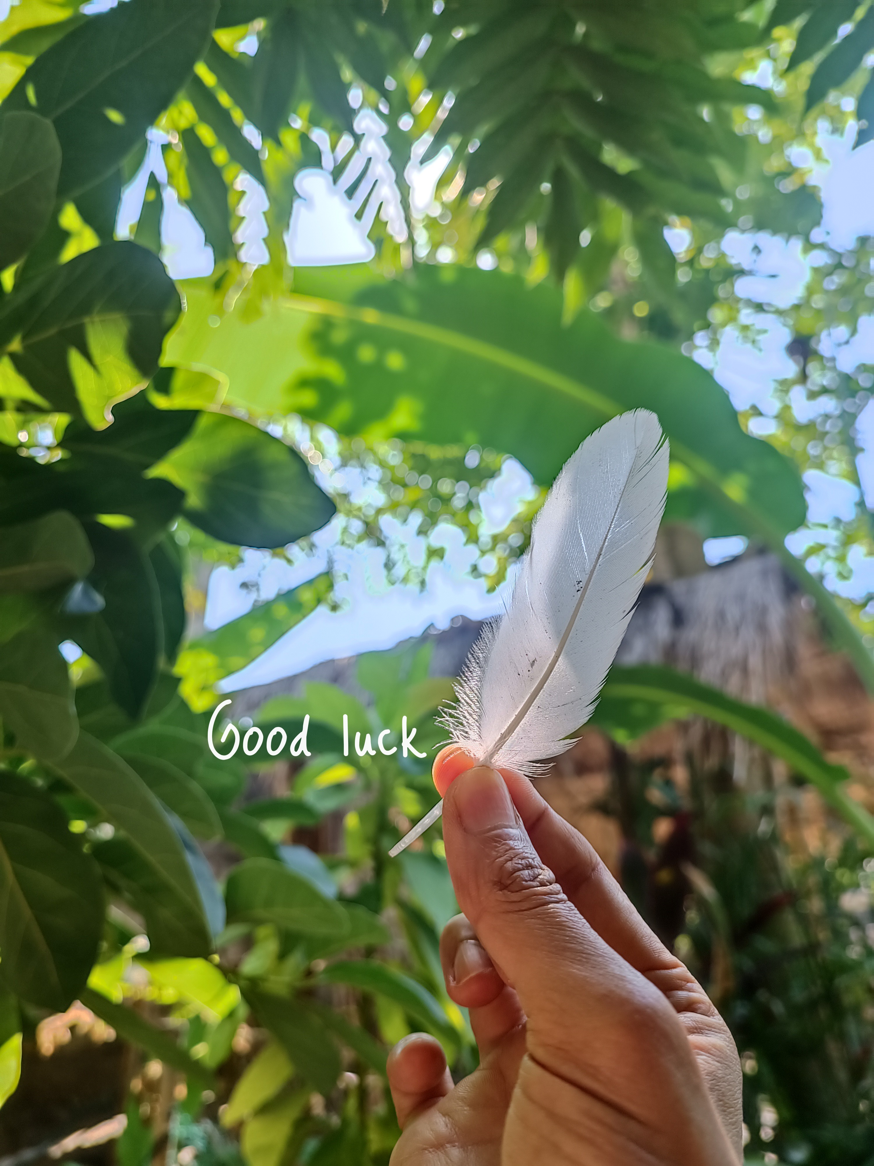 f:id:shino24aus:20230523172016j:image