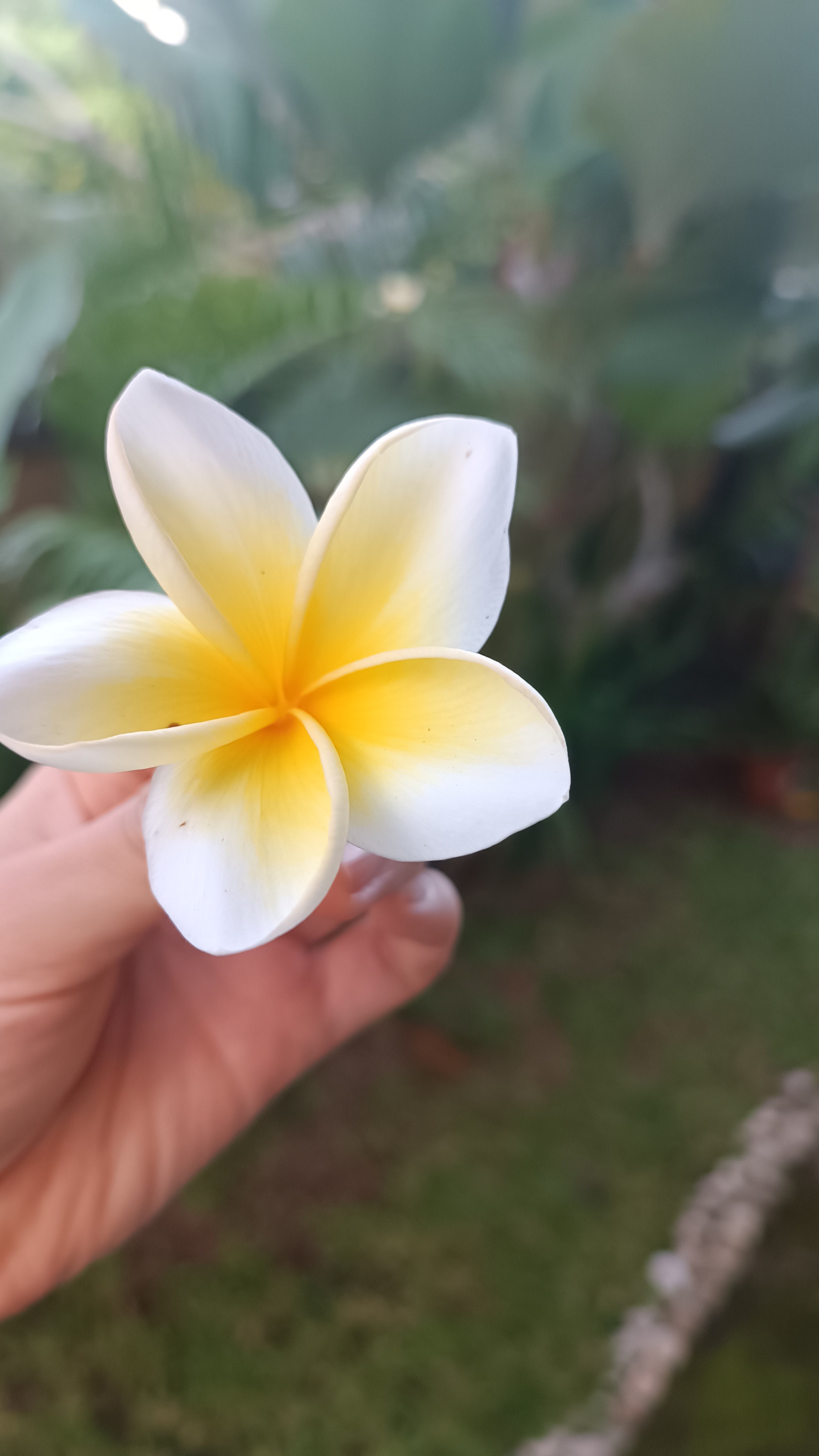 f:id:shino24aus:20230523183116j:image f:id:shino24aus:20230523183116j:image