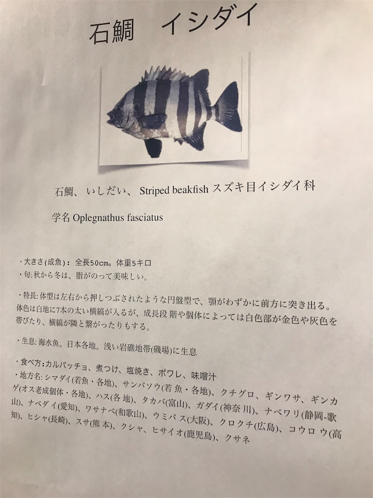酒と魚 と お野菜 小田原漁港 いっぱいのやさしさに包まれて