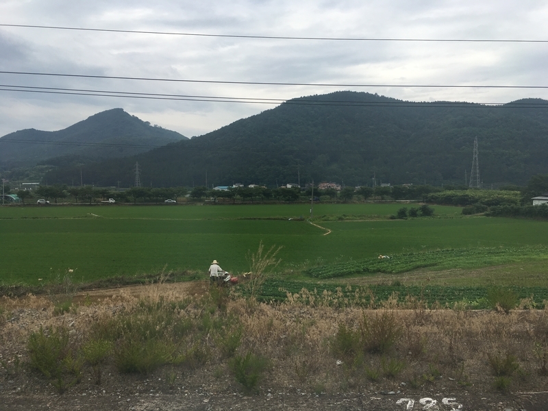 f:id:shino9bo:20200527023034j:plain f:id:shino9bo:20200527023034j:plain