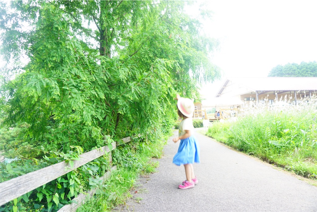 f:id:shino_mizobuchi:20170710001745j:image f:id:shino_mizobuchi:20170710001745j:image