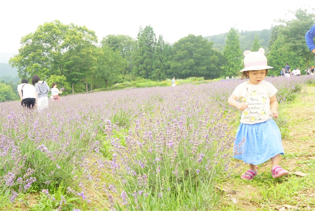 f:id:shino_mizobuchi:20170710002129j:image f:id:shino_mizobuchi:20170710002129j:image