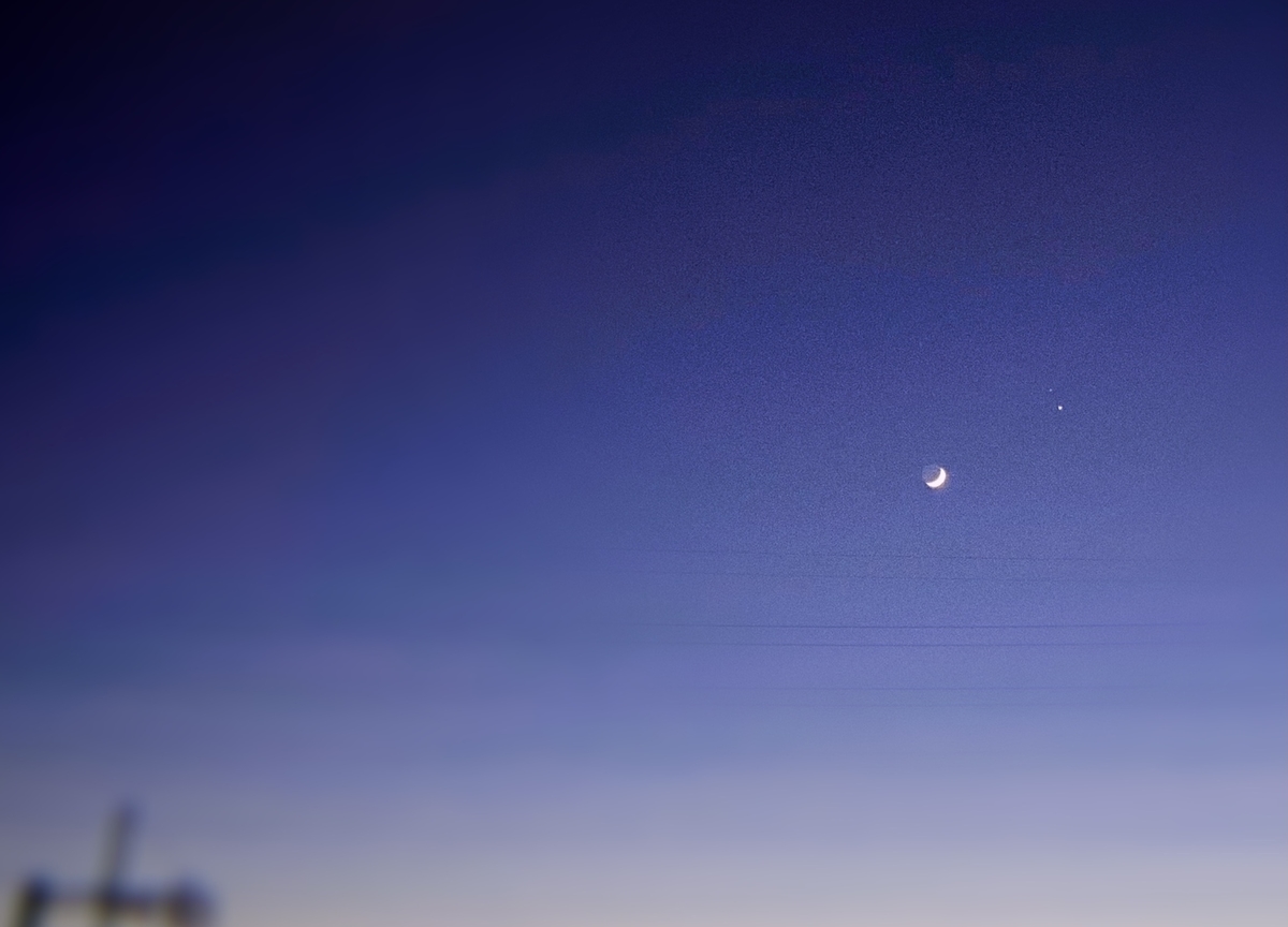 f:id:shinobiashi03:20210115214146j:plain