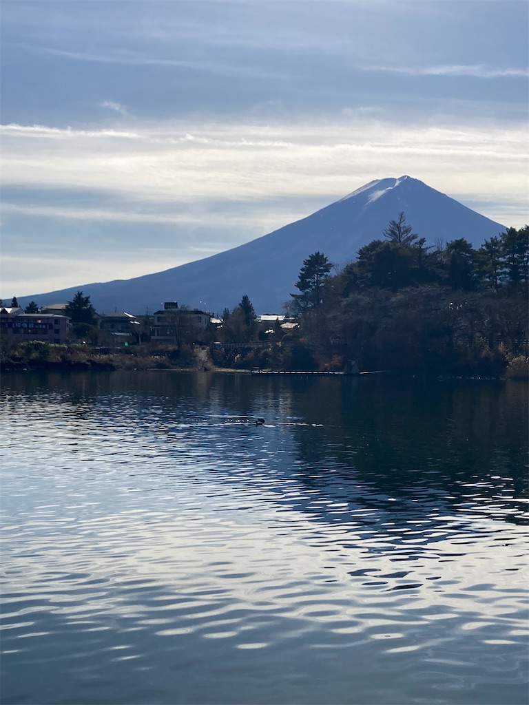 f:id:shinobigroup:20201218211044j:image