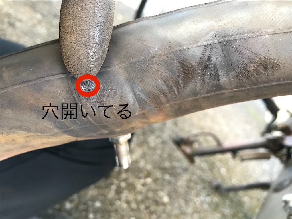 f:id:shinobigroup:20210103210700j:image f:id:shinobigroup:20210103210700j:image