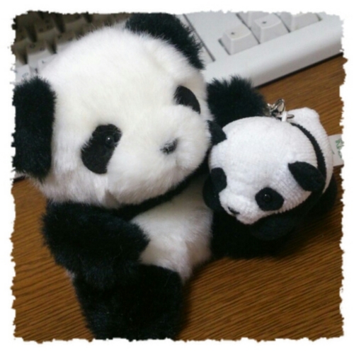 f:id:shinobu11:20130319213322j:image:h300 f:id:shinobu11:20130319213322j:image:h300