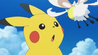 第話 サトシとピカチュウ 二人の約束 しのぶの庭
