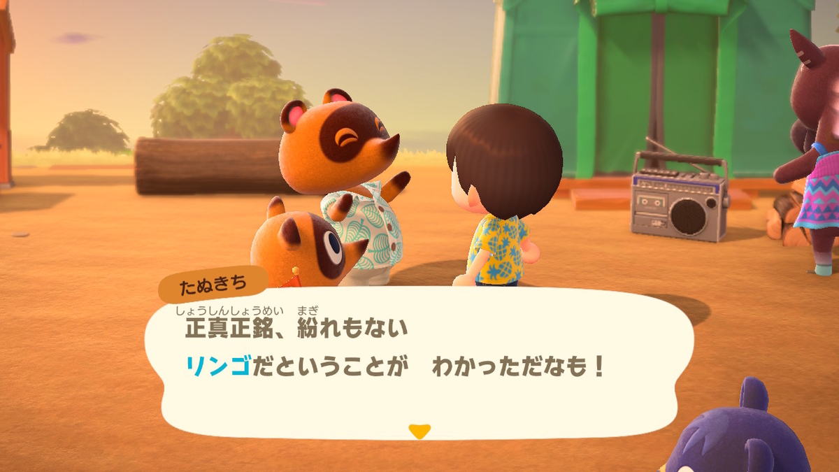 ギリギリまで悩んだ島の名前 しのぶの庭