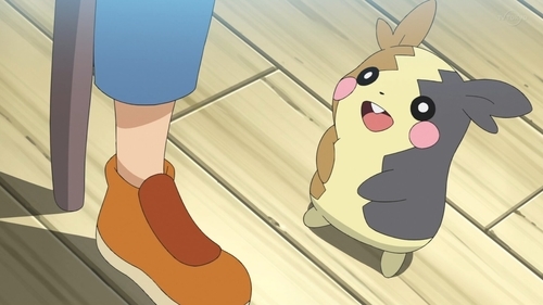 第70話 おねがい モルペコゲットして しのぶの庭