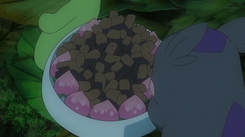 第70話 おねがい モルペコゲットして しのぶの庭