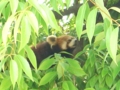 [遊亀公園付属動物園]