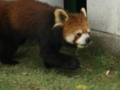 [遊亀公園付属動物園]