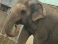 [遊亀公園付属動物園]