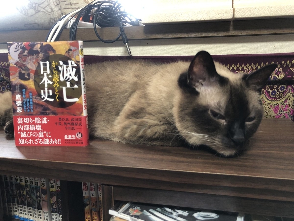f:id:shinobutakahasi:20181101173455j:plain f:id:shinobutakahasi:20181101173455j:plain