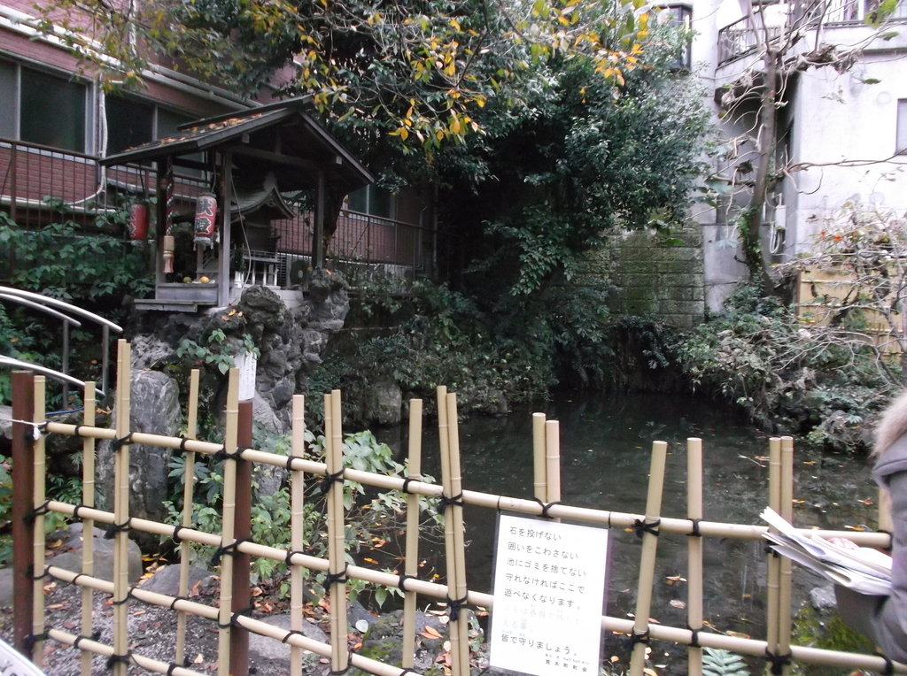 f:id:shinobutakahasi:20181101173631j:plain f:id:shinobutakahasi:20181101173631j:plain
