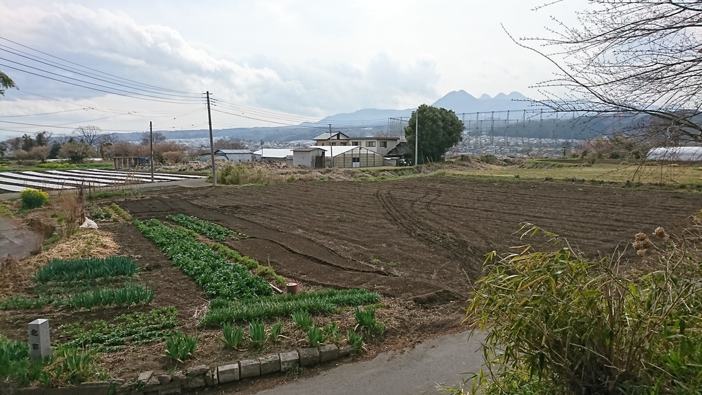 f:id:shinobutakahasi:20190211060348j:plain f:id:shinobutakahasi:20190211060348j:plain