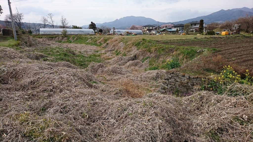 f:id:shinobutakahasi:20190211060403j:plain f:id:shinobutakahasi:20190211060403j:plain