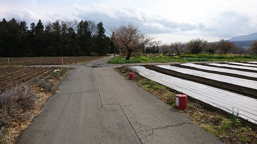 f:id:shinobutakahasi:20190215053122j:plain f:id:shinobutakahasi:20190215053122j:plain