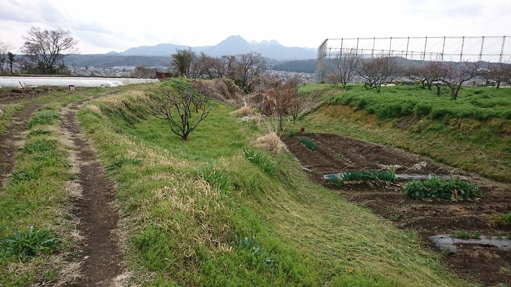 f:id:shinobutakahasi:20190215053138j:plain f:id:shinobutakahasi:20190215053138j:plain