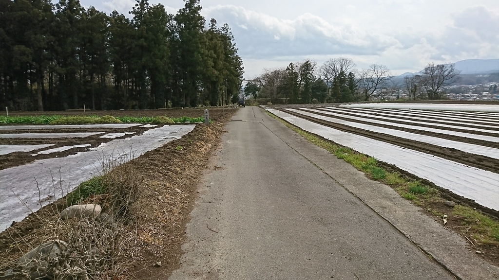 f:id:shinobutakahasi:20190218055033j:plain f:id:shinobutakahasi:20190218055033j:plain