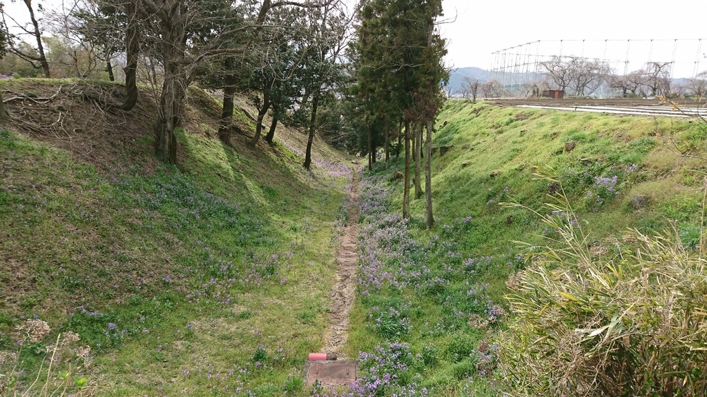 f:id:shinobutakahasi:20190218055113j:plain f:id:shinobutakahasi:20190218055113j:plain