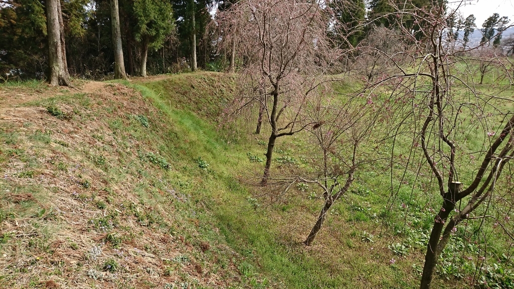 f:id:shinobutakahasi:20190226061051j:plain f:id:shinobutakahasi:20190226061051j:plain