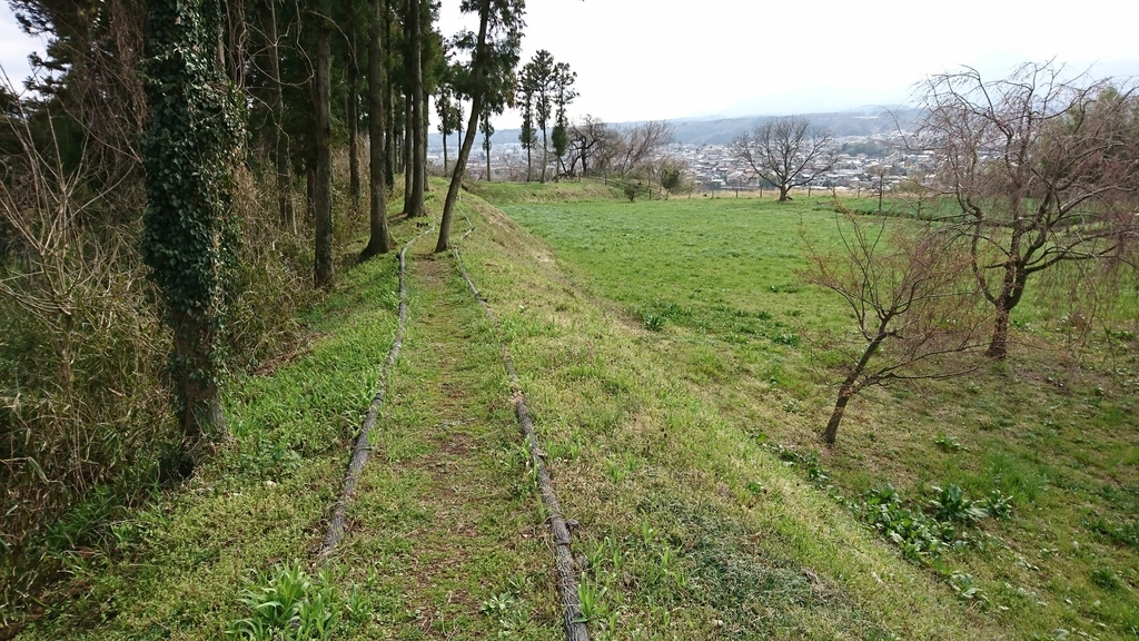 f:id:shinobutakahasi:20190226061107j:plain f:id:shinobutakahasi:20190226061107j:plain