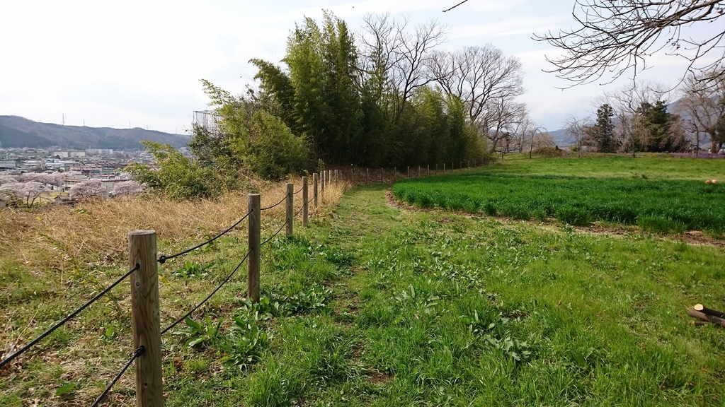 f:id:shinobutakahasi:20190305050421j:plain f:id:shinobutakahasi:20190305050421j:plain