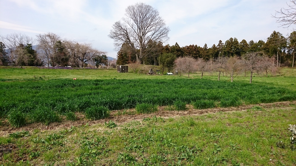 f:id:shinobutakahasi:20190309073528j:plain f:id:shinobutakahasi:20190309073528j:plain