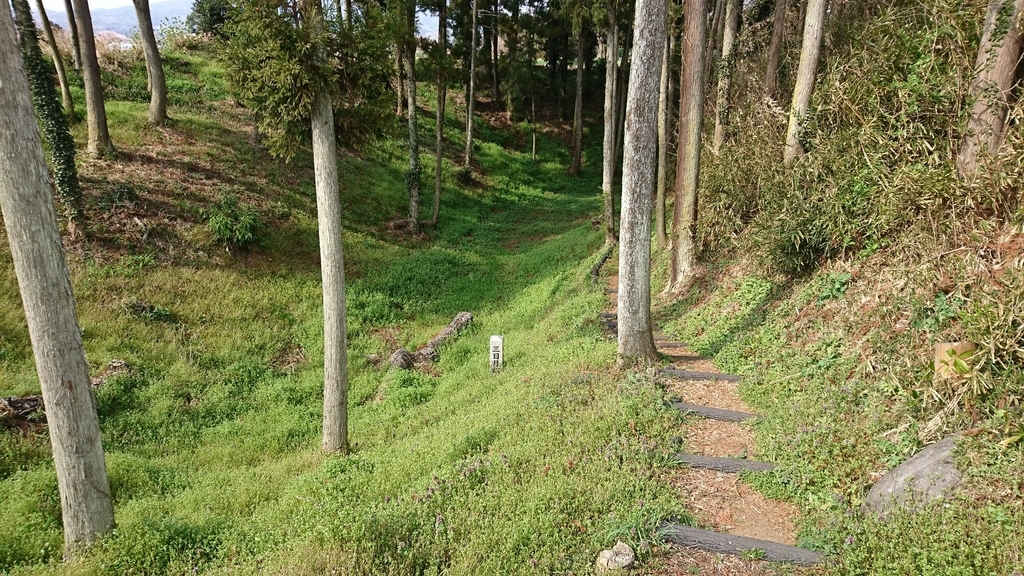 f:id:shinobutakahasi:20190309073548j:plain f:id:shinobutakahasi:20190309073548j:plain