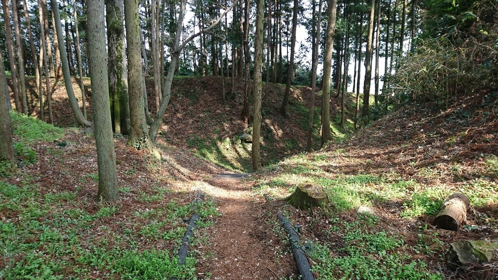 f:id:shinobutakahasi:20190309073612j:plain f:id:shinobutakahasi:20190309073612j:plain
