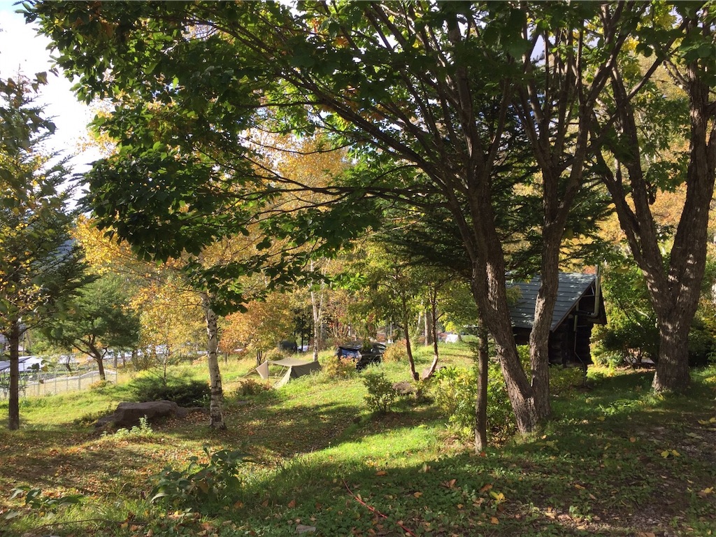 f:id:shinocchi0701:20181012215831j:image