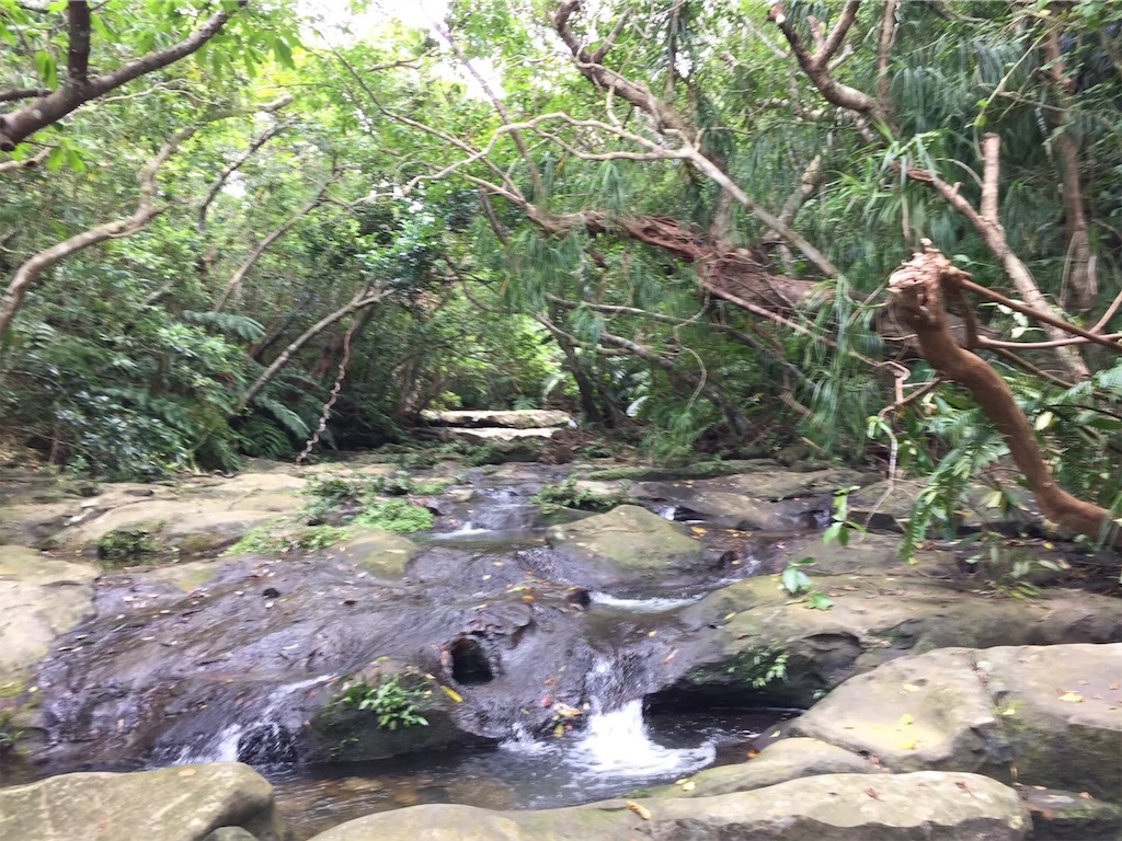 f:id:shinocchi0701:20200610191719j:image