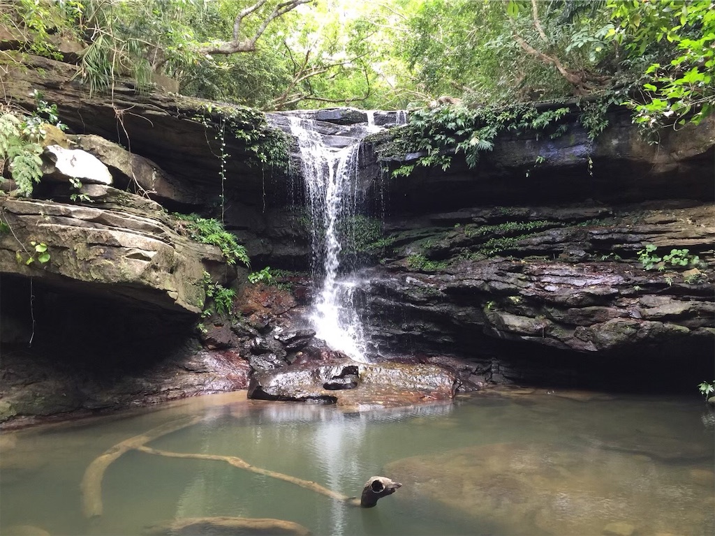 f:id:shinocchi0701:20200610191744j:image