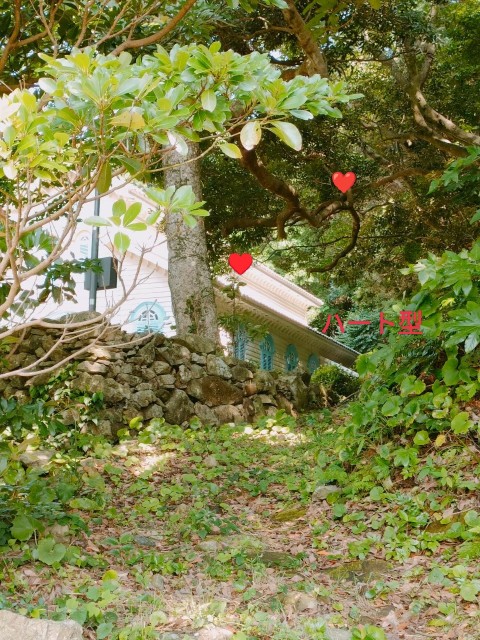 f:id:shinocchi0701:20220920175456j:image