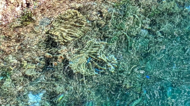 f:id:shinocchi0701:20220920175531j:image