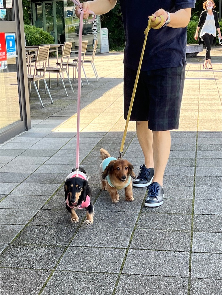 f:id:shinodaks79:20220924190635j:image